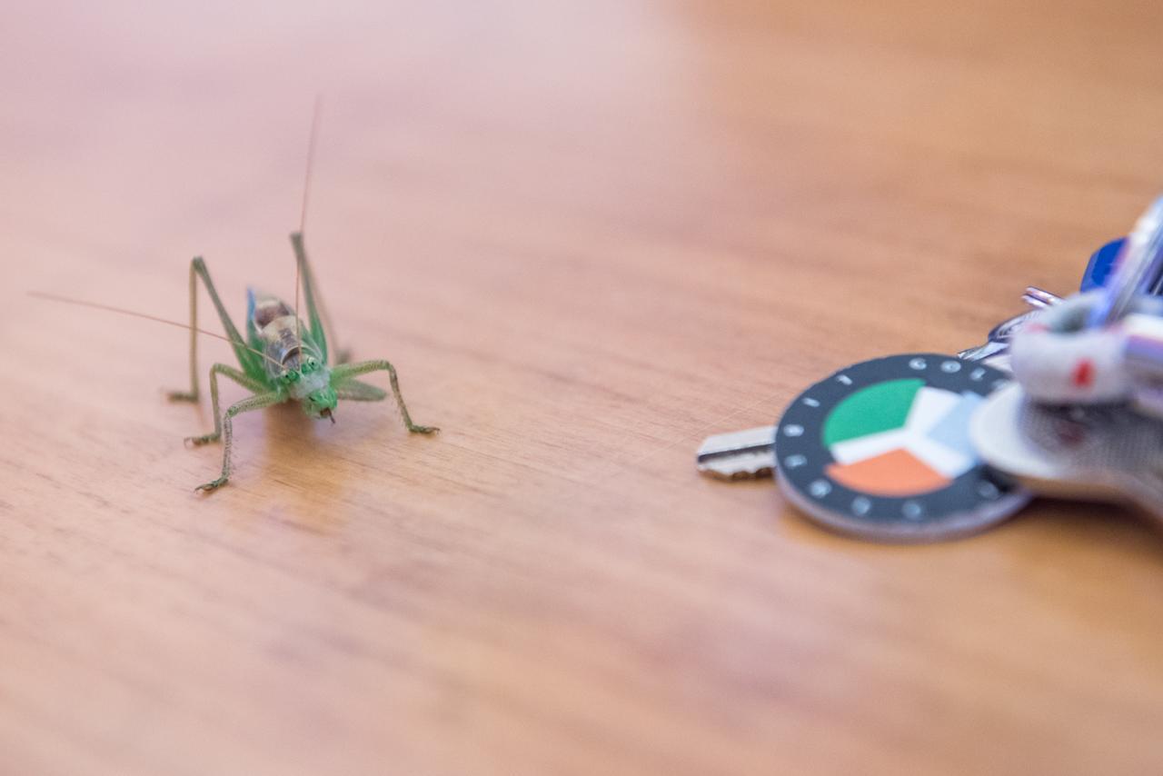 فندق هاوسبواتي يبسيلون غولف ليبيريتش Fojtka المظهر الخارجي الصورة